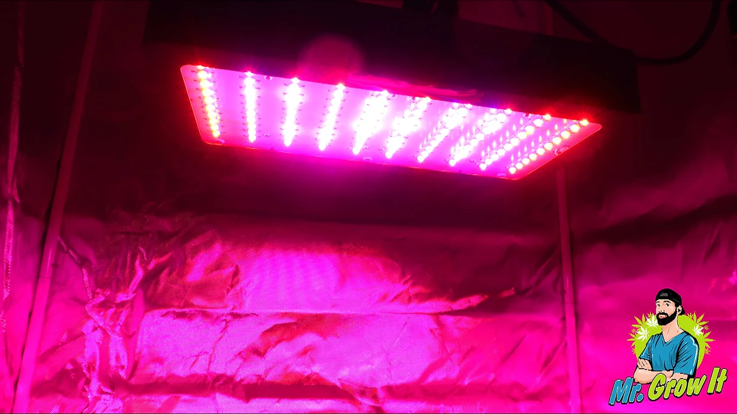 UV Lighting For Growing Cannabis!