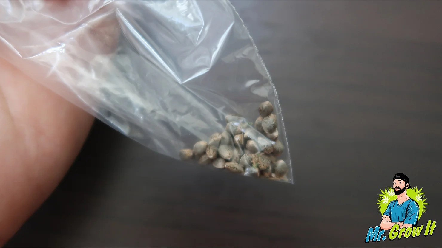 How To Store Cannabis Seeds For Years!