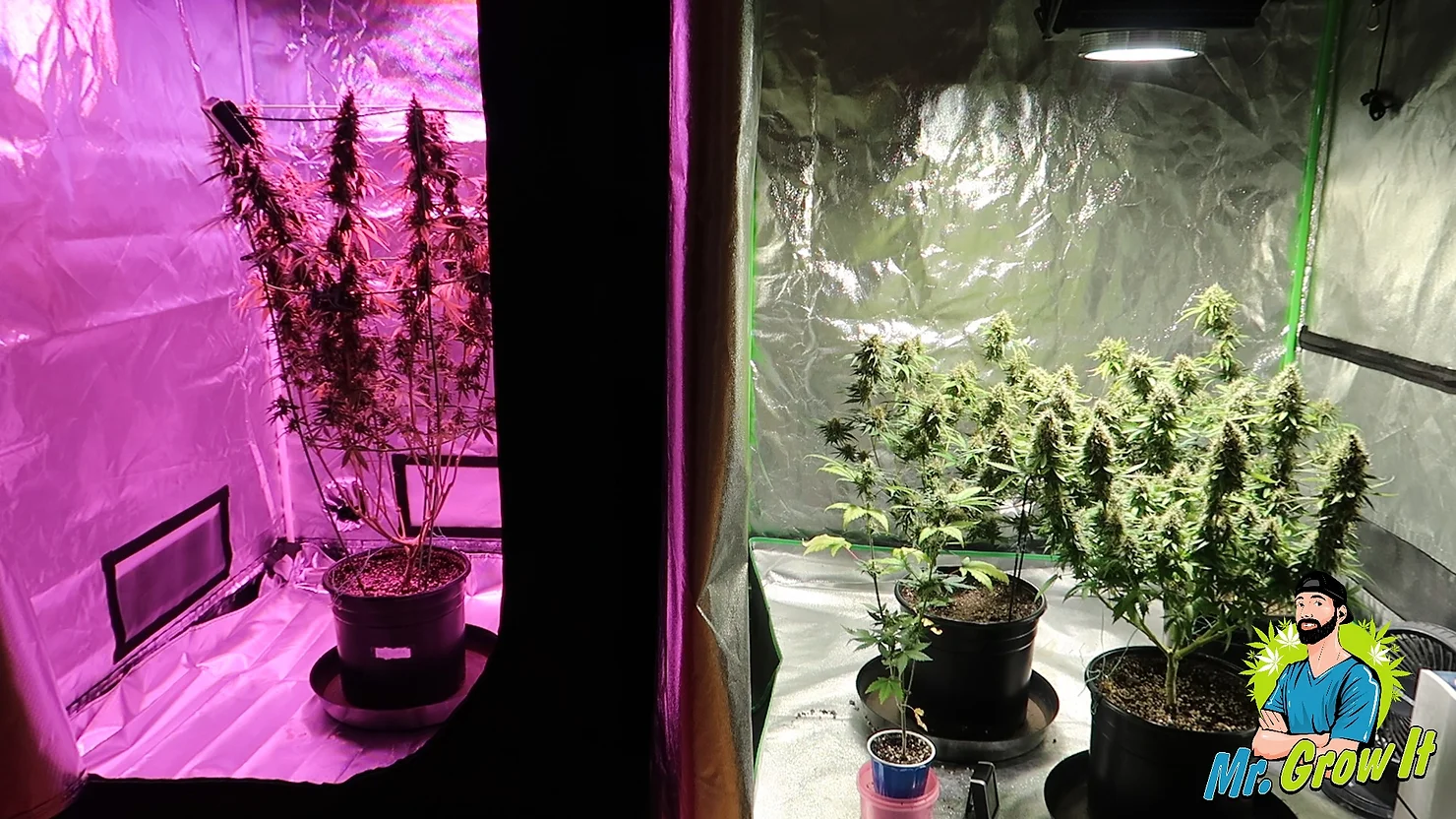 Cut Your Grow Room Costs With These 3 Hacks!