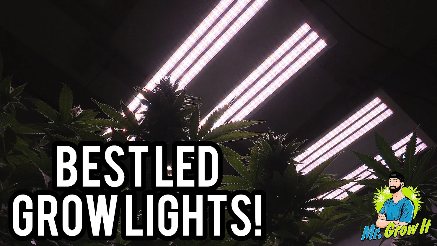 Best LED Grow Lights 2019 | 4×4 Coverage Area