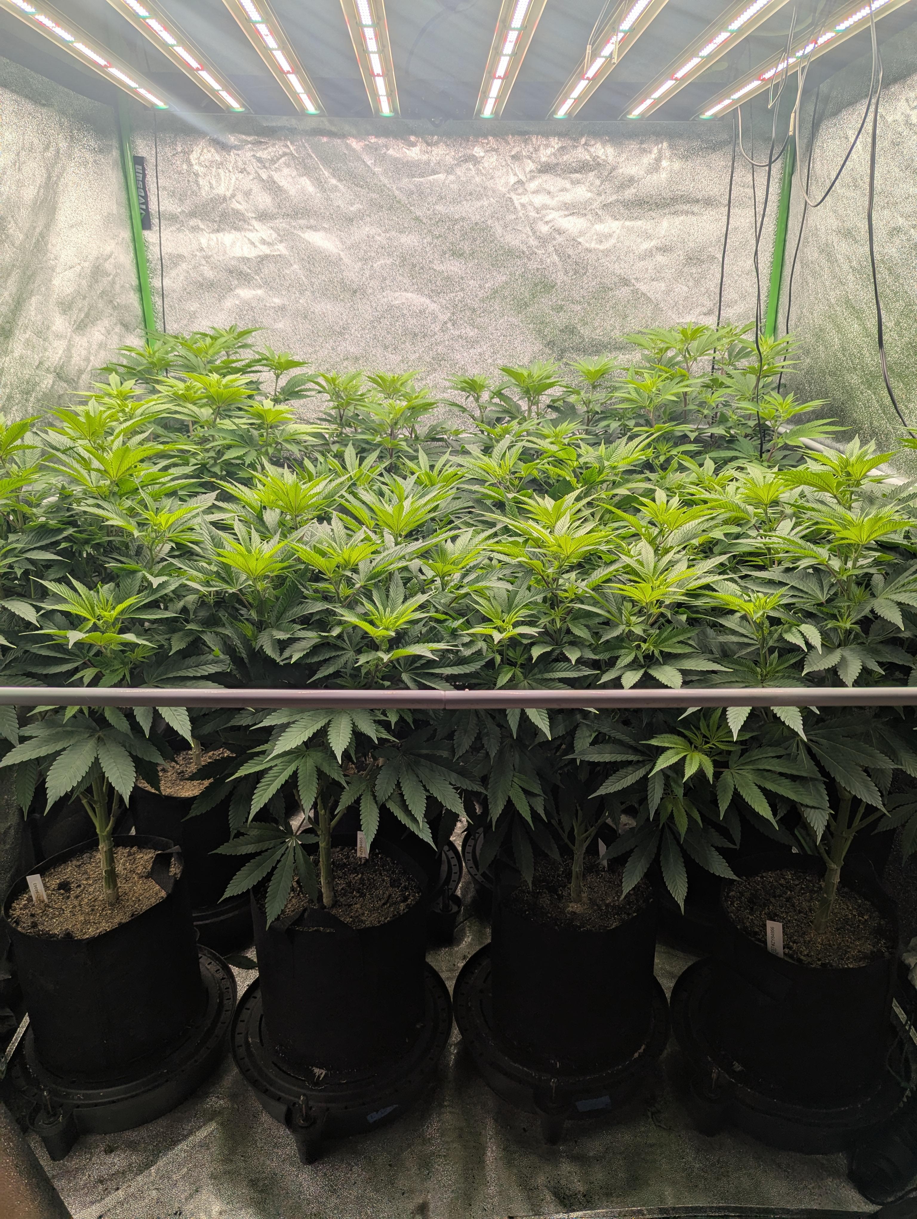 Day 5