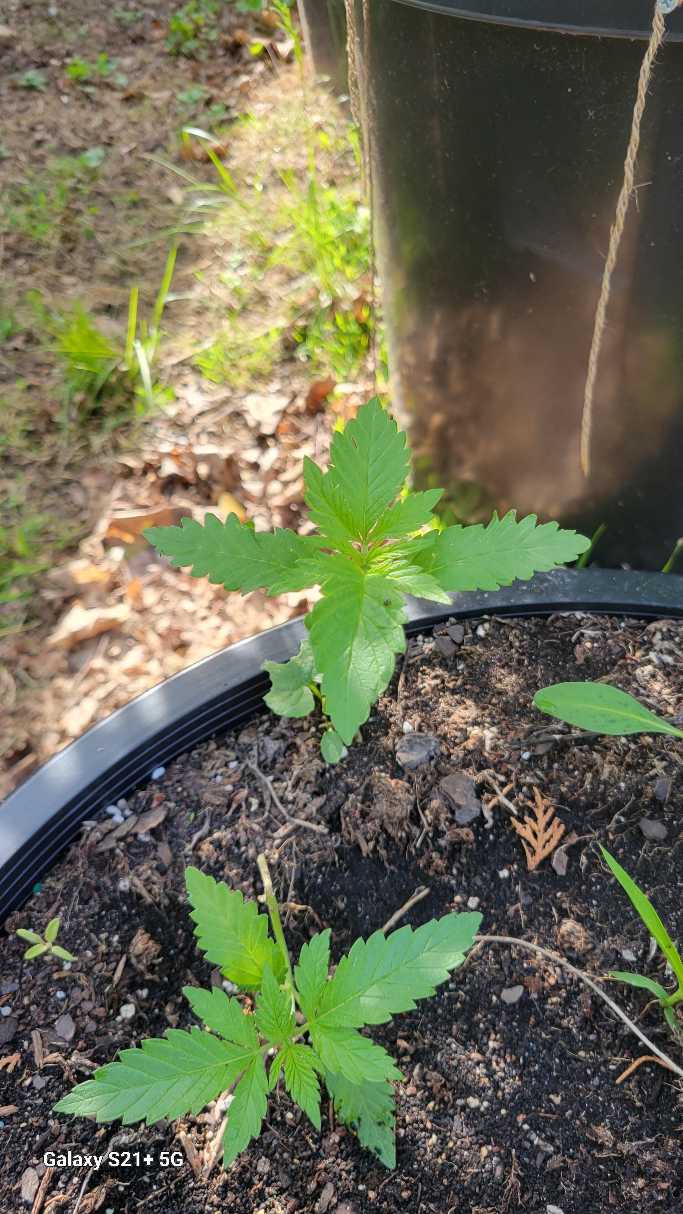 When i first found them