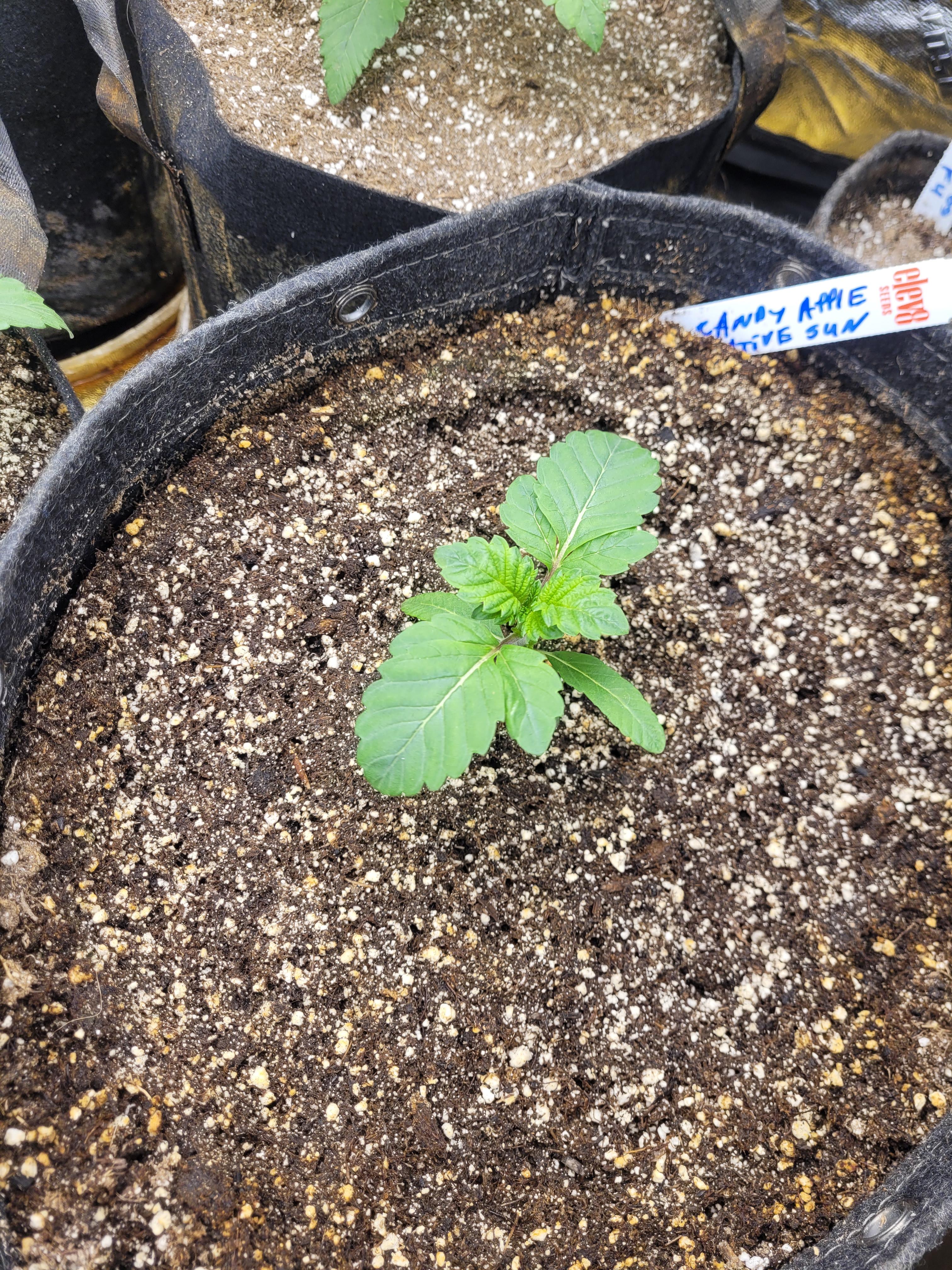 Week 2 is just about done 